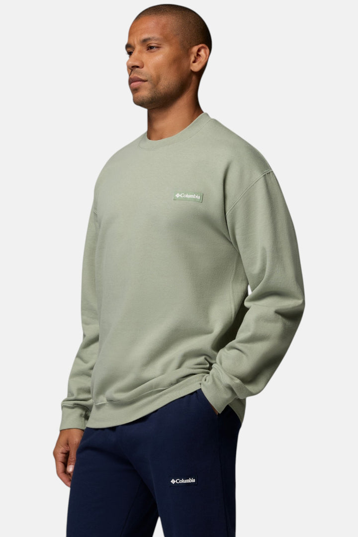 Men's sage crewneck sweatshirt with long sleeves and small chest logo