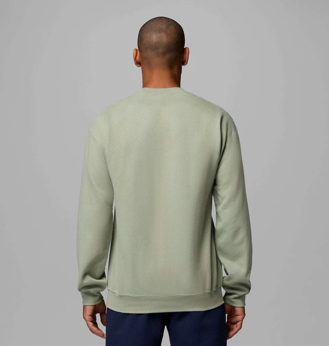 Back view of sage crewneck sweatshirt with long sleeves