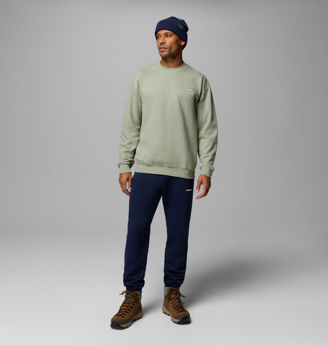 Men's sage crewneck sweatshirt with long sleeves and small chest logo