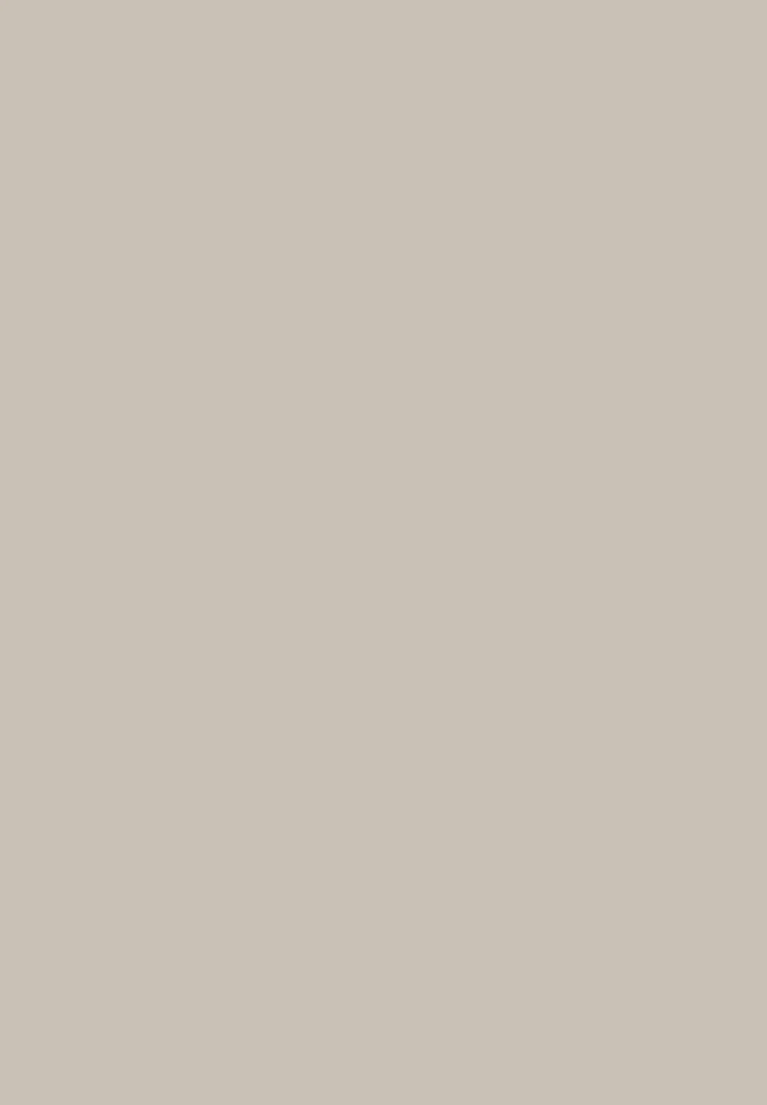 Columbia CSC Basic Logo T-Shirt | Dark Stone, CSC