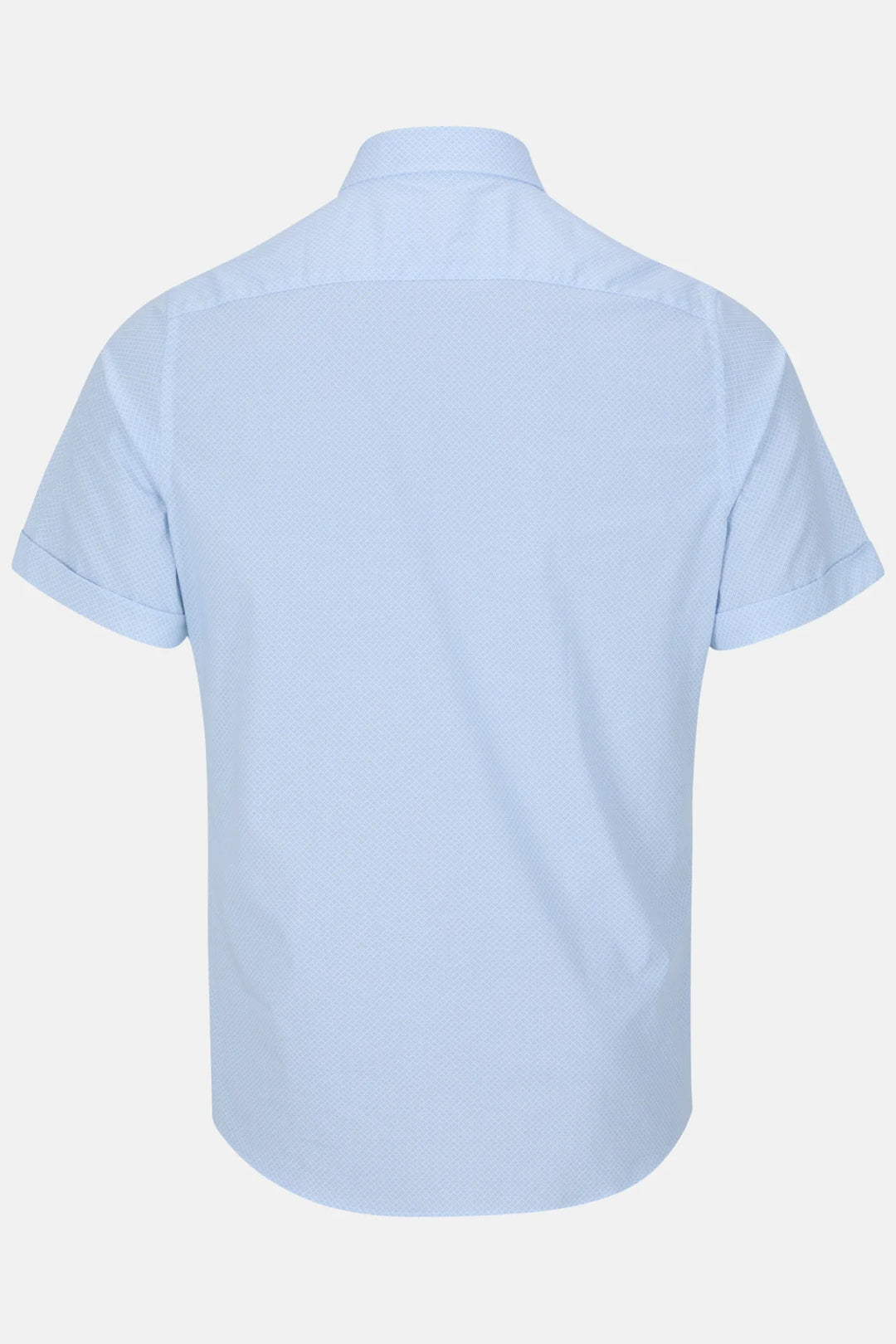 Gilded Gentlemen short-sleeve dress shirt, light blue, back view