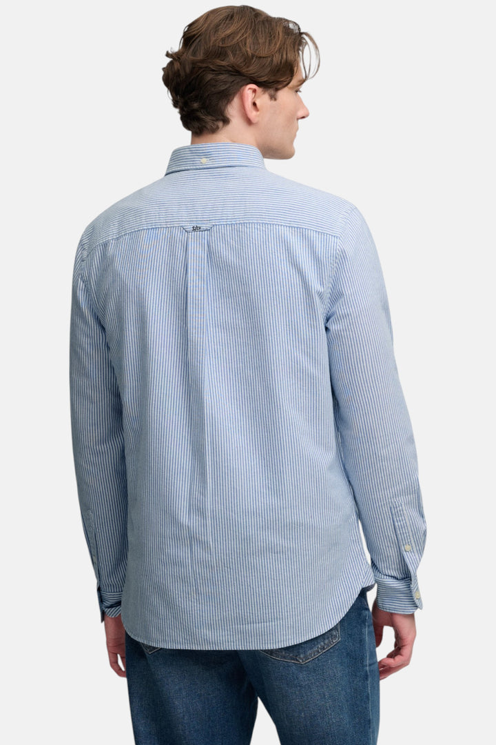 Men's blue mini-stripe button-up shirt, back view